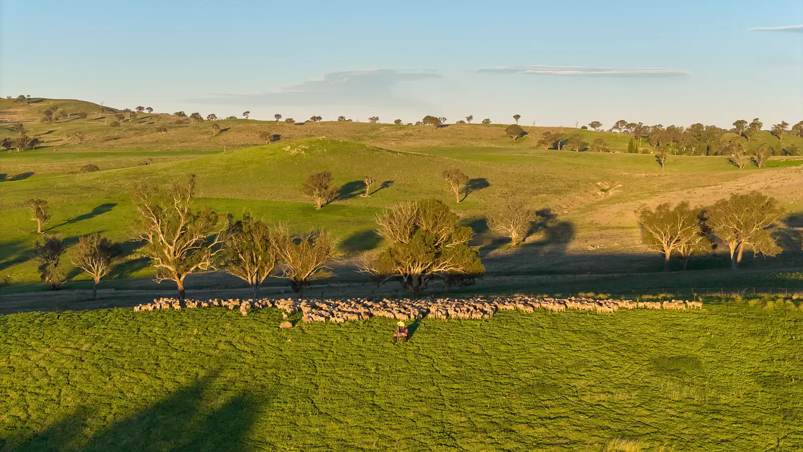 'Dowan Hill' Connells Lane, Yass Auction by Sydney Sotheby's International Realty - image 1