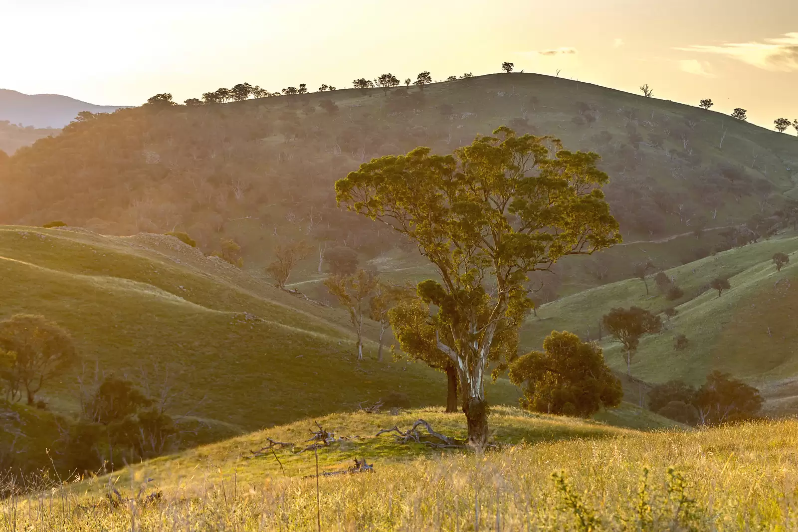 Photo #2: 'Dowan Hill' Connells Lane, Yass - Auction by Sydney Sotheby's International Realty