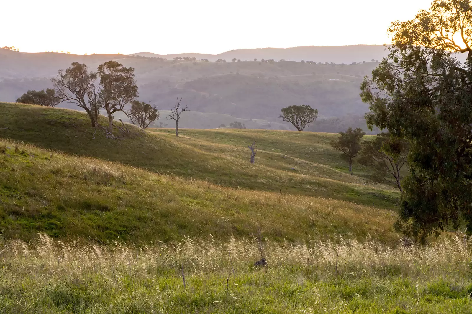 Photo #9: 'Dowan Hill' Connells Lane, Yass - Auction by Sydney Sotheby's International Realty