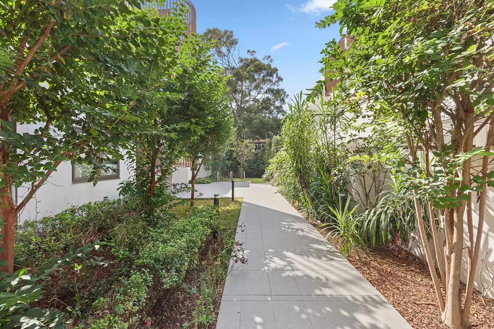 305/105 Wellington Street, Bondi Beach Auction by Sydney Sotheby's International Realty - image 16