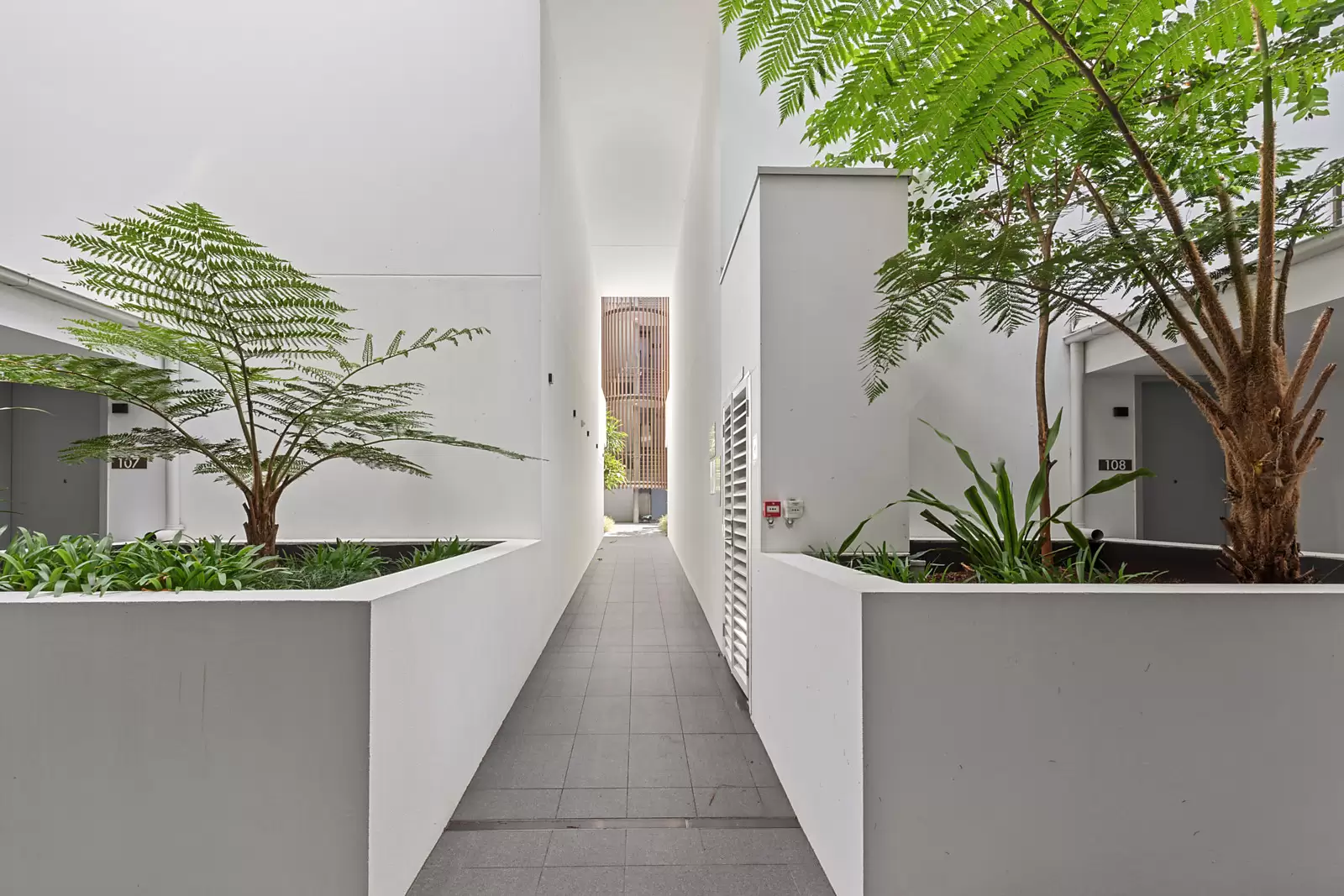 305/105 Wellington Street, Bondi Beach Auction by Sydney Sotheby's International Realty - image 13