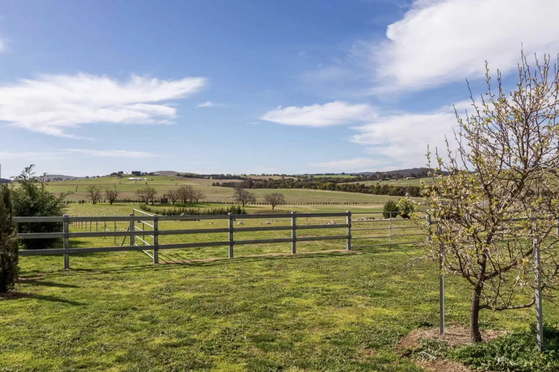 Murrumbateman For Sale by Sydney Sotheby's International Realty - image 30