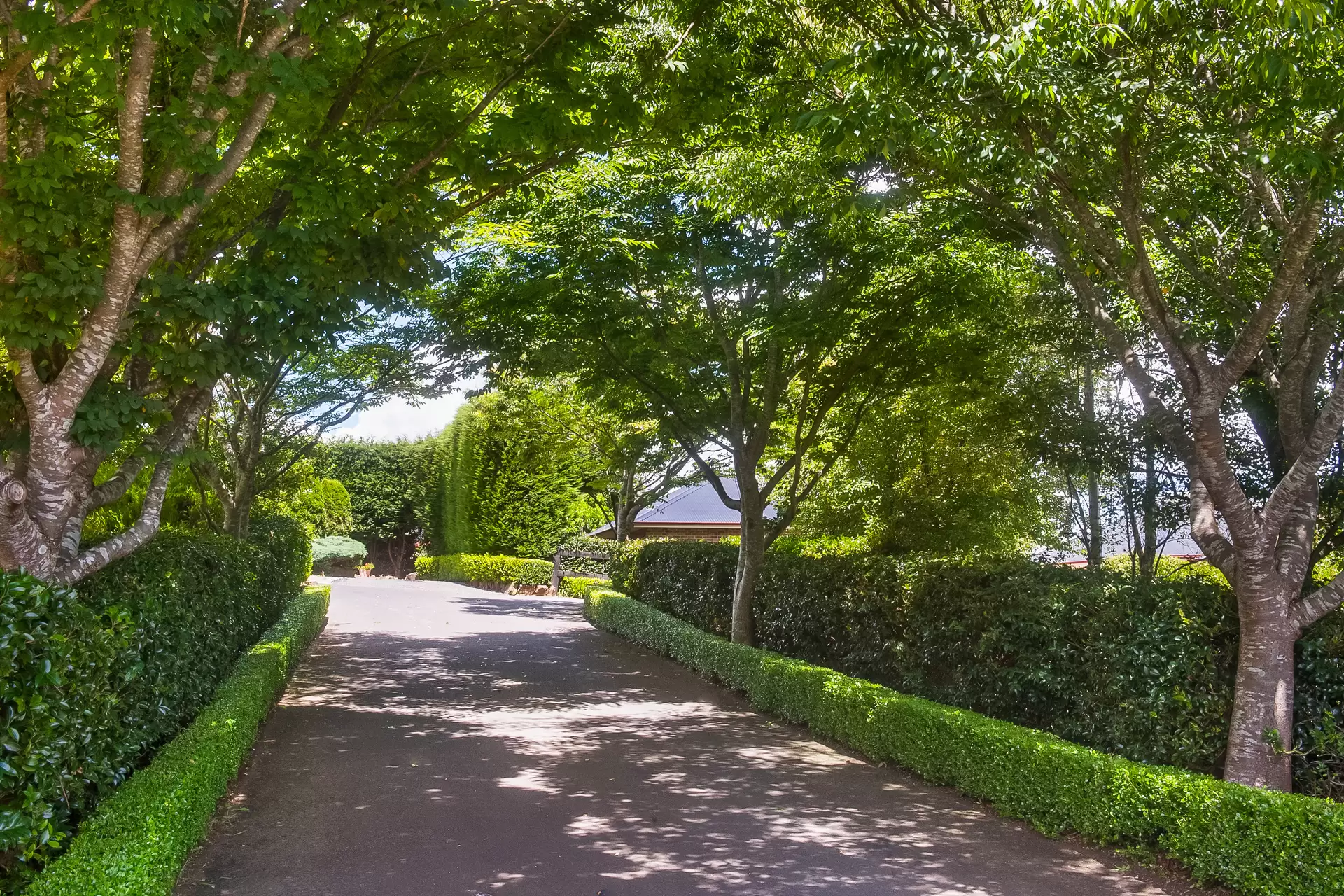 6 Hanrahan Place, Robertson Sold by Sydney Sotheby's International Realty - image 20