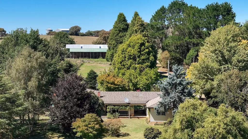 47 Old Trunk Road, Arkell Auction by Sydney Sotheby's International Realty