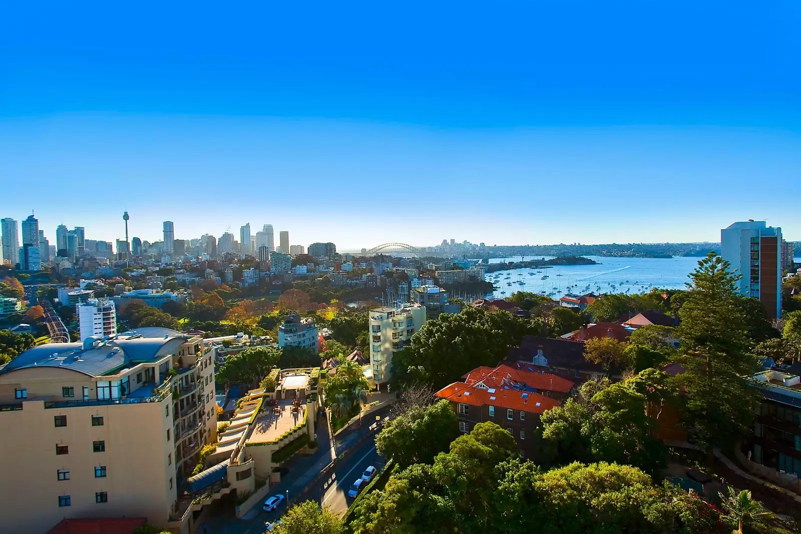 'Ranelagh' 1/3 Darling Point Road, Darling Point Sold by Sydney Sotheby's International Realty - image 7