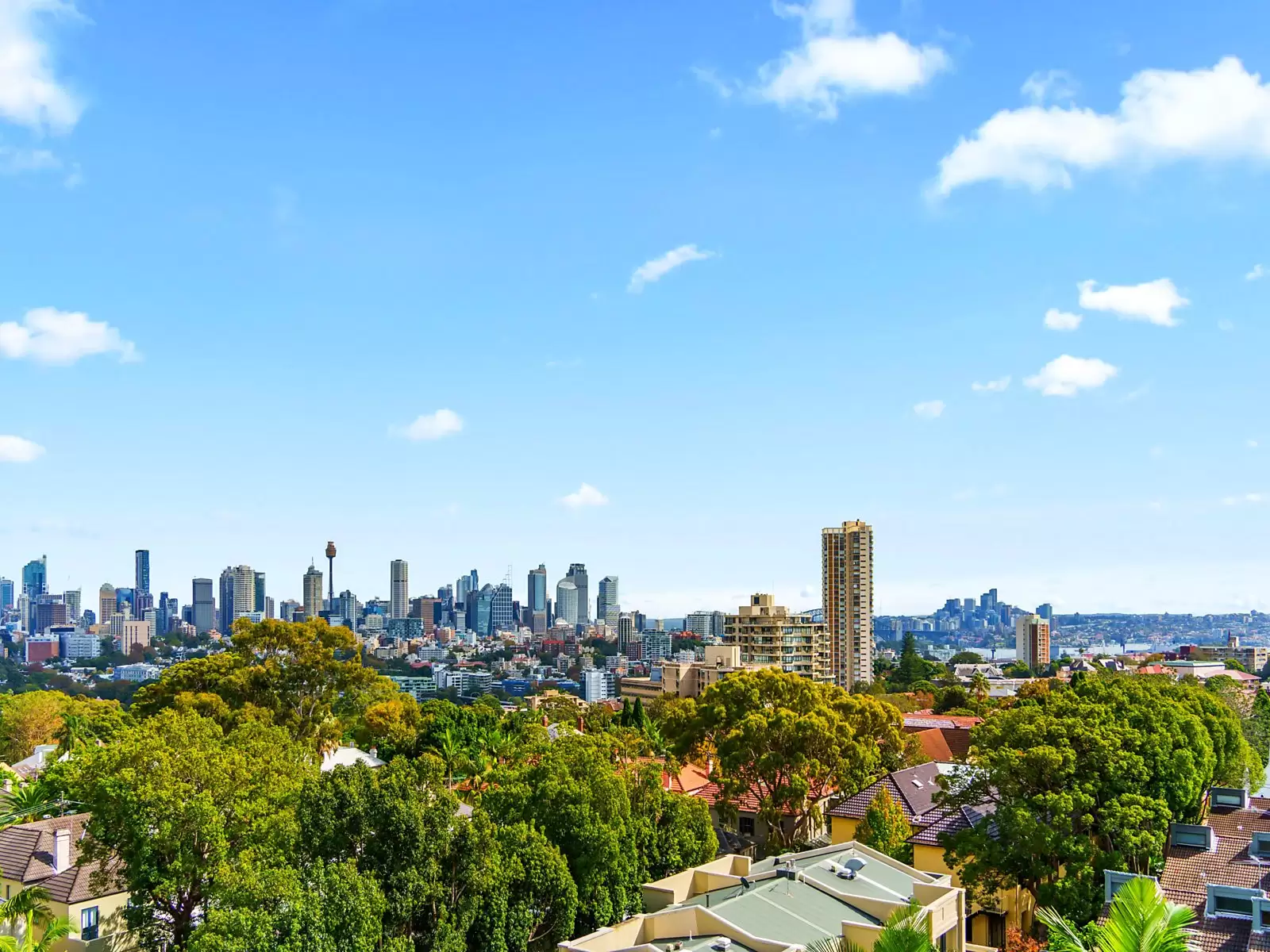 41/16-18 Rosemont Avenue, Woollahra Auction by Sydney Sotheby's International Realty - image 11