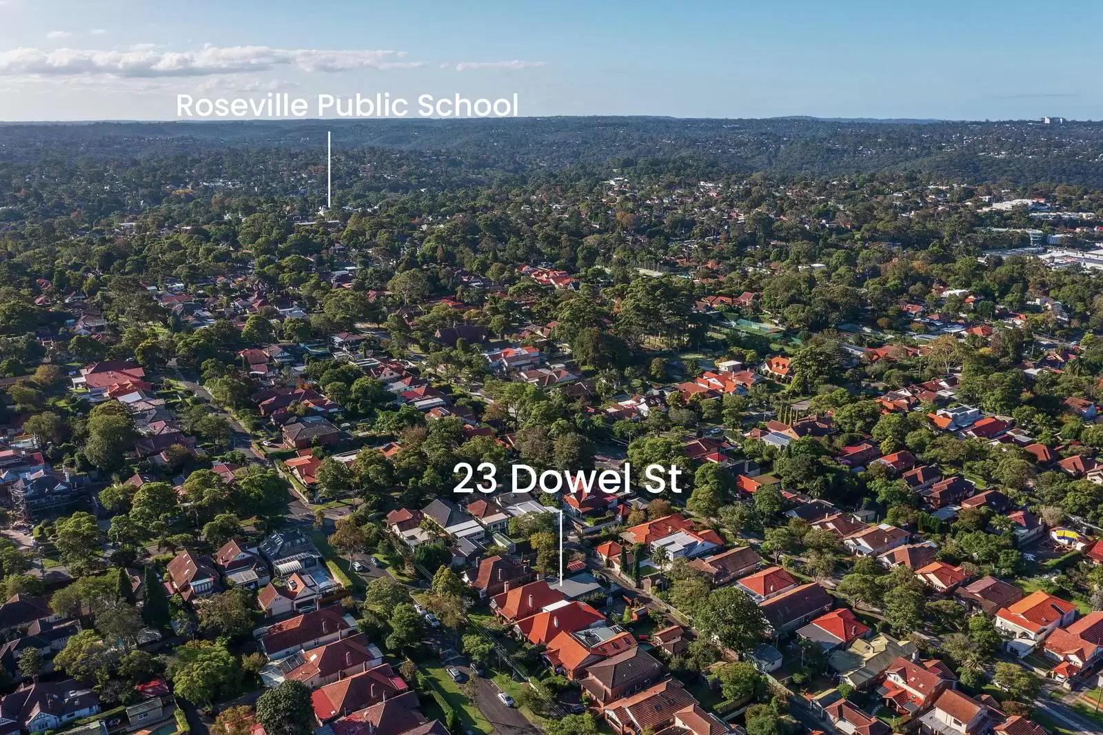 23 Dowel Street, Chatswood Auction by Sydney Sotheby's International Realty - image 20