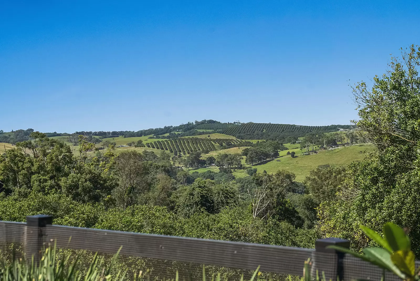 18 & 20 Pioneers Crescent, Bangalow For Sale by Sydney Sotheby's International Realty - image 28