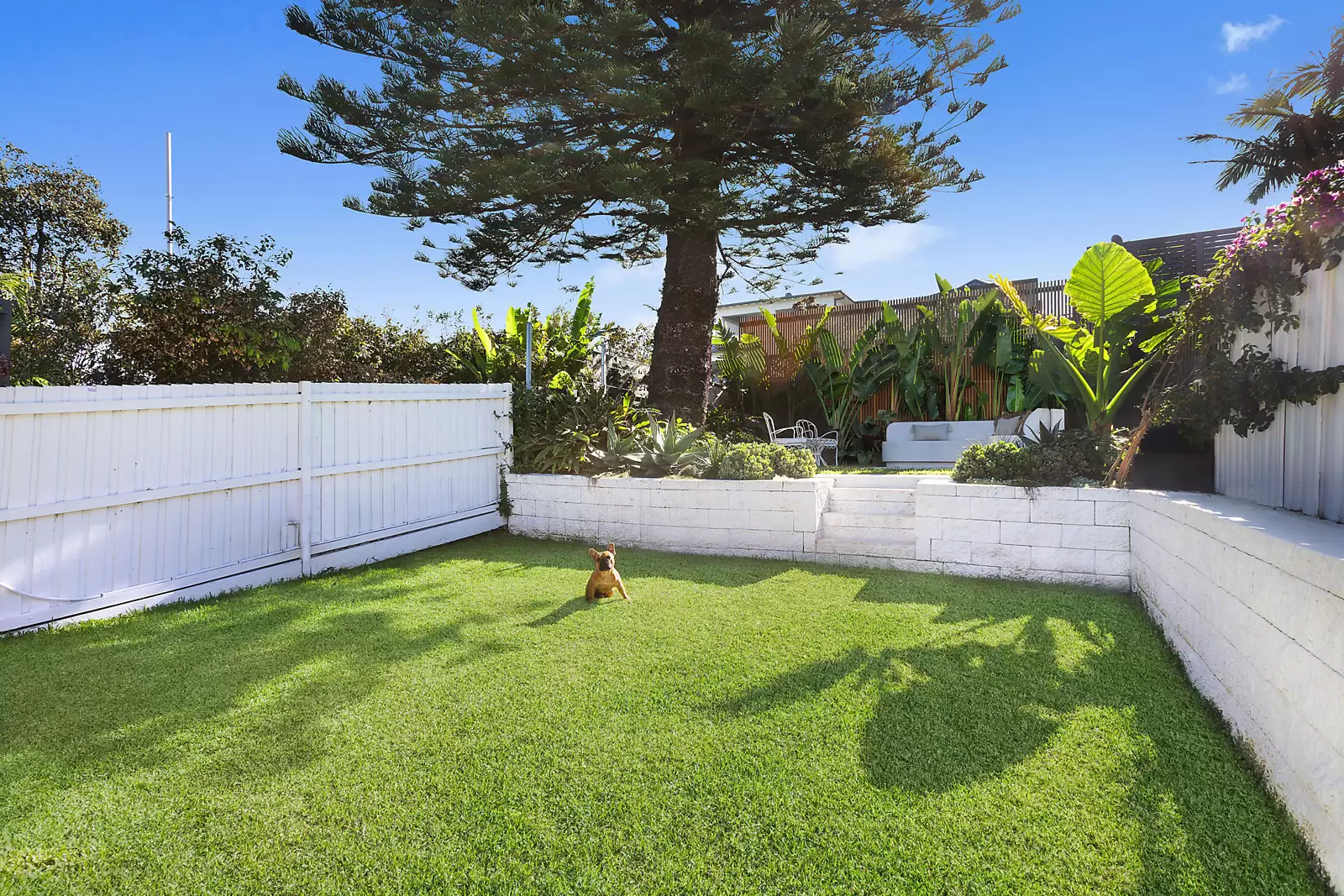 28 Duncan Street, Maroubra Auction by Sydney Sotheby's International Realty - image 10
