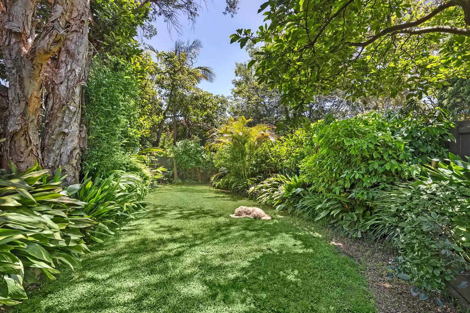 24 Monmouth Street, Randwick Sold by Sydney Sotheby's International Realty - image 7
