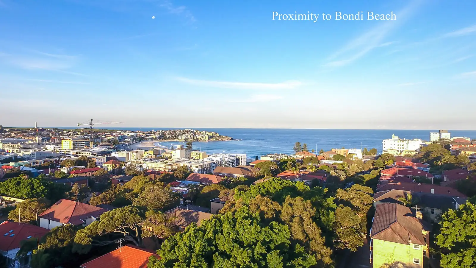 56 Sir Thomas Mitchell Road, Bondi Beach Sold by Sydney Sotheby's International Realty - image 1