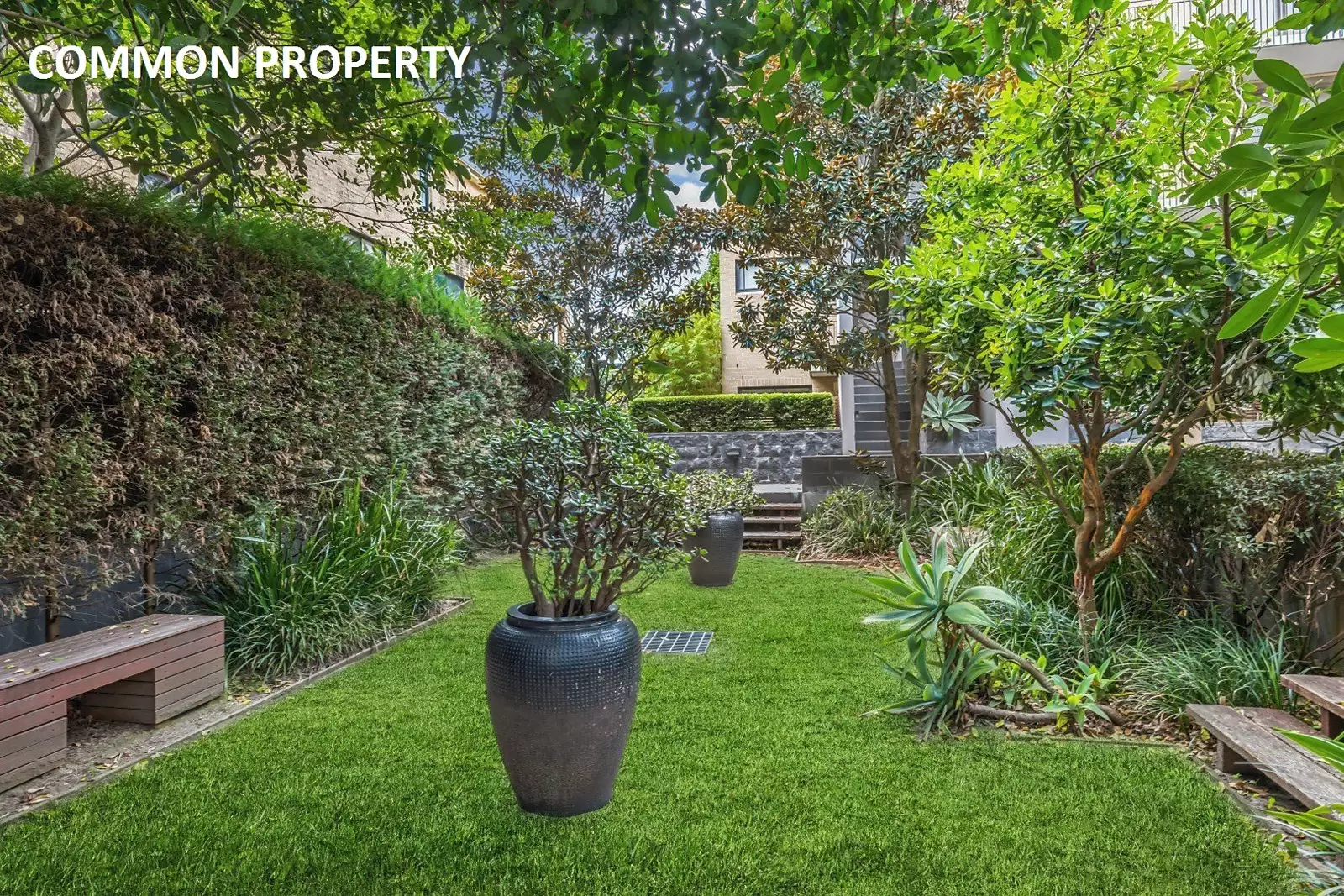 3/7-9 Alison Road, Kensington Auction by Sydney Sotheby's International Realty - image 8