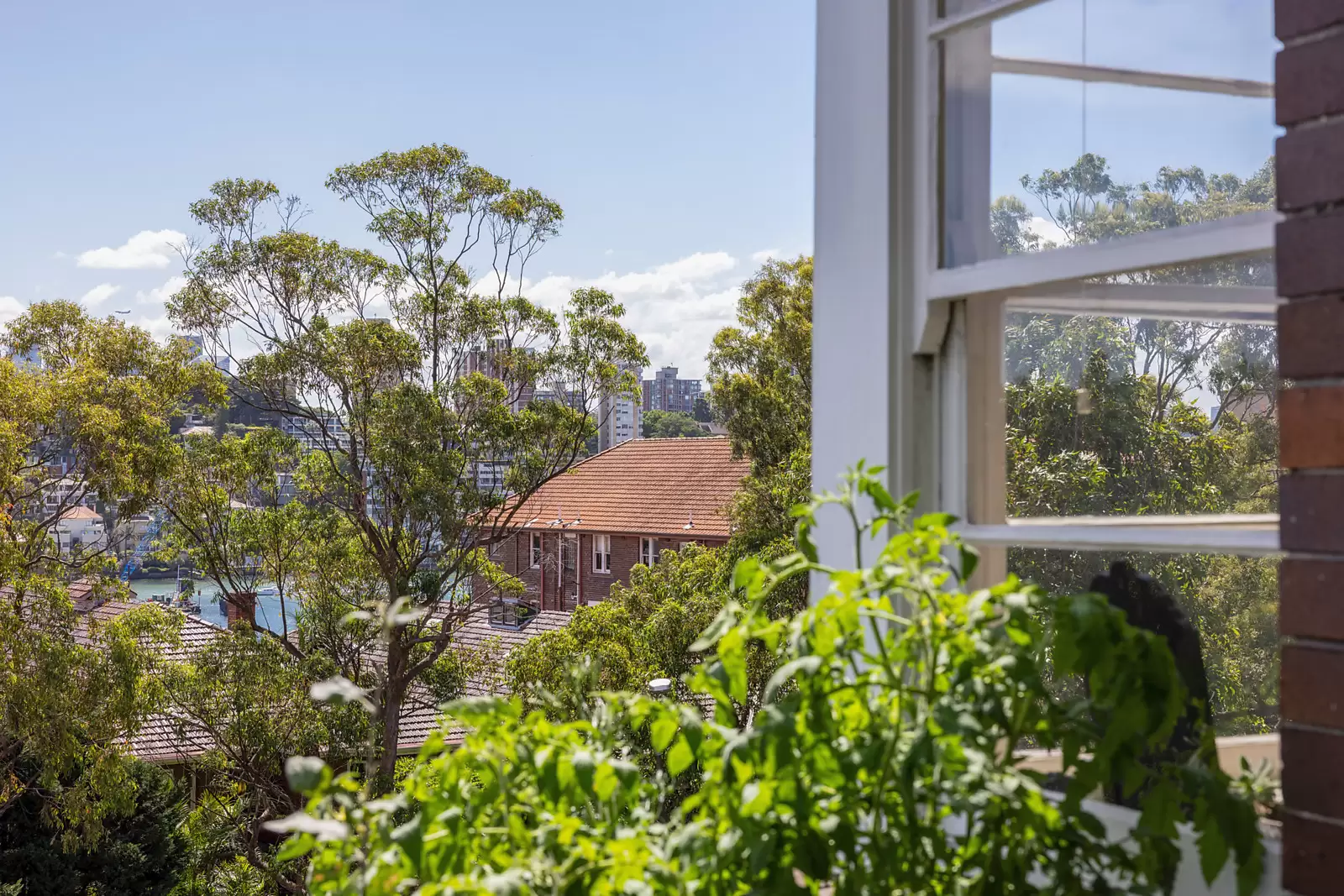 4/531 New South Head Road, Double Bay Sold by Sydney Sotheby's International Realty - image 9