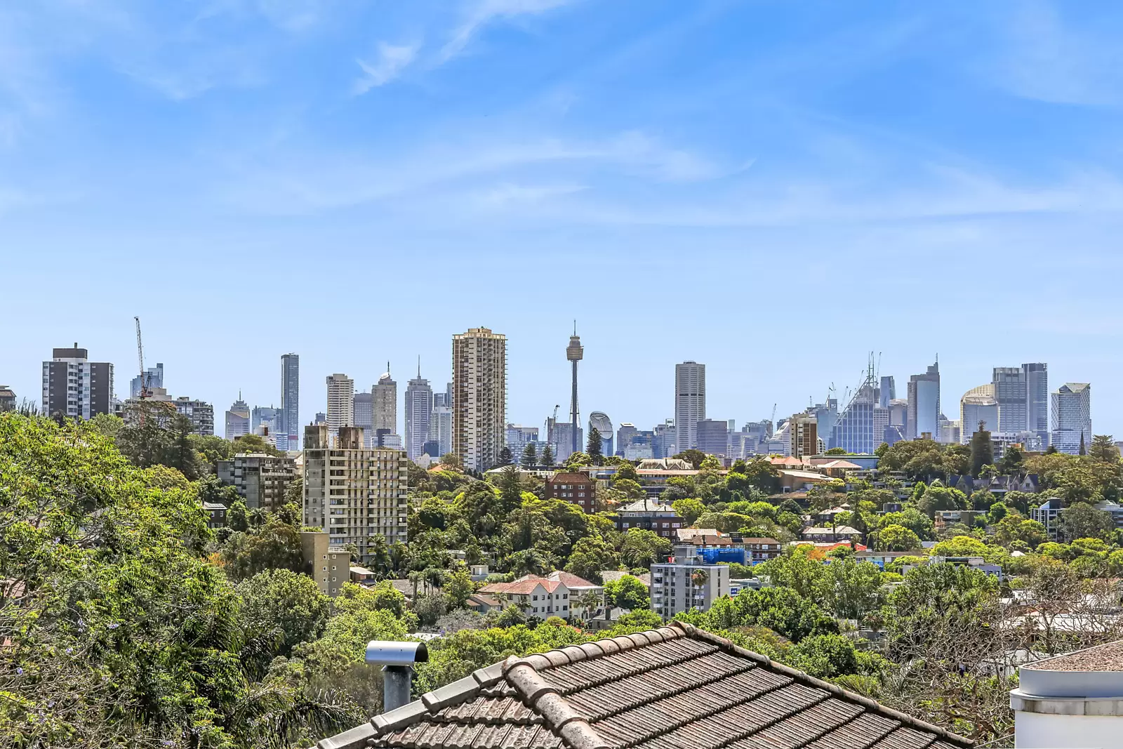 124D Bellevue Road, Bellevue Hill For Sale by Sydney Sotheby's International Realty - image 11