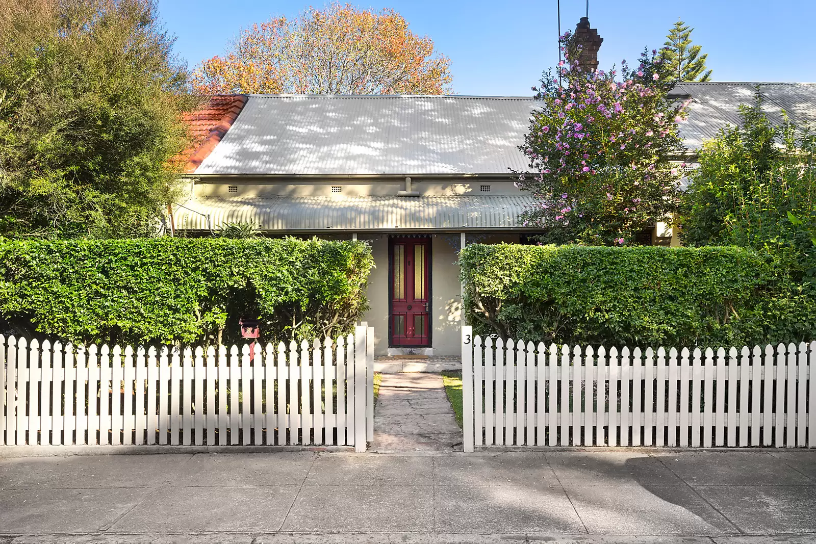 3 Alice Avenue, Newtown Sold by Sydney Sotheby's International Realty - image 7