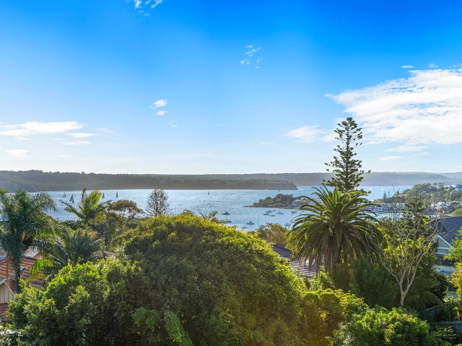 6 Derby Street, Vaucluse For Sale by Sydney Sotheby's International Realty - image 18