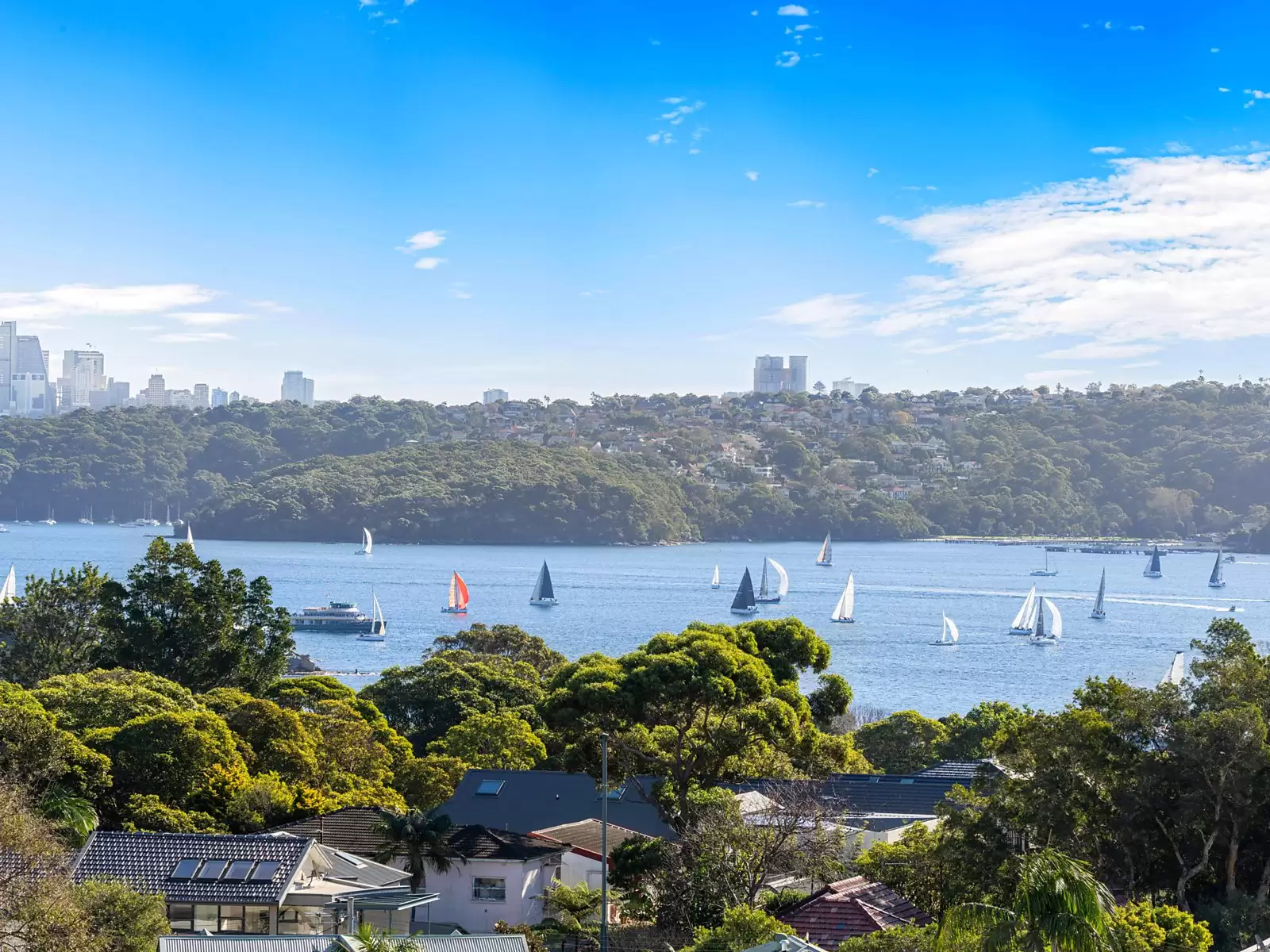 6 Derby Street, Vaucluse For Sale by Sydney Sotheby's International Realty - image 14