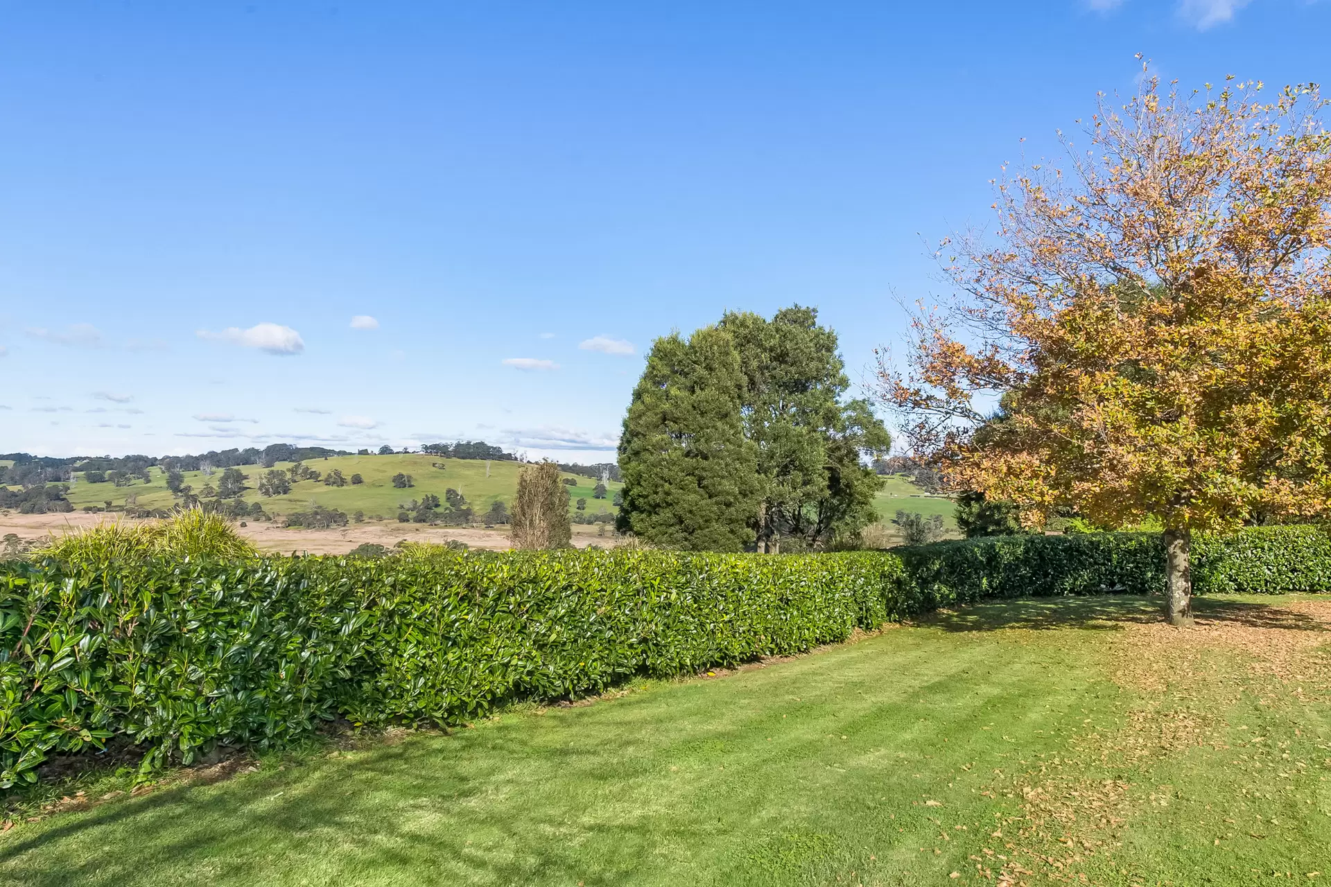 150 Hawthorne Lane, Kangaloon For Sale by Sydney Sotheby's International Realty - image 19