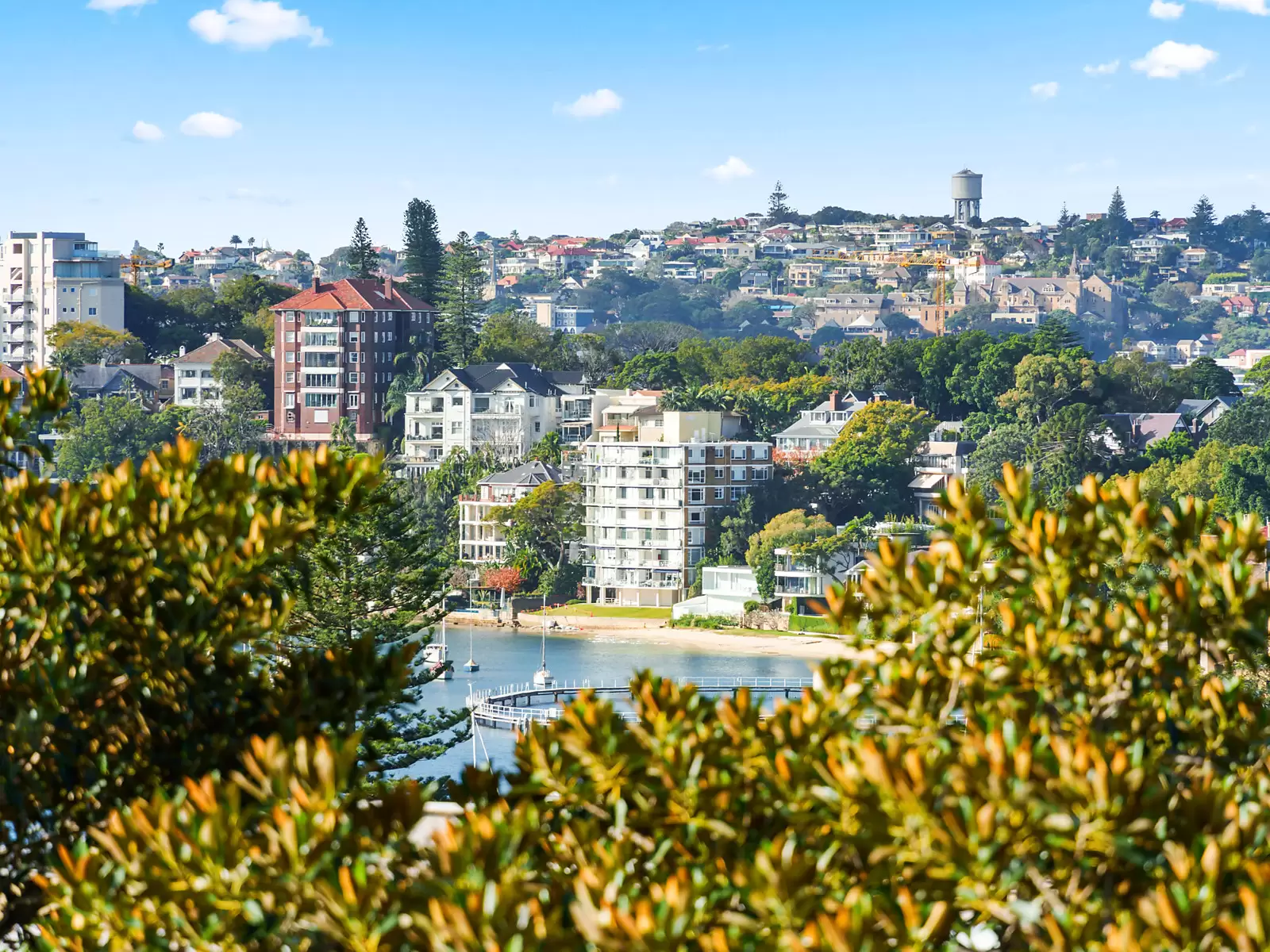 8/4 Greenoaks Avenue, Darling Point Auction by Sydney Sotheby's International Realty - image 4