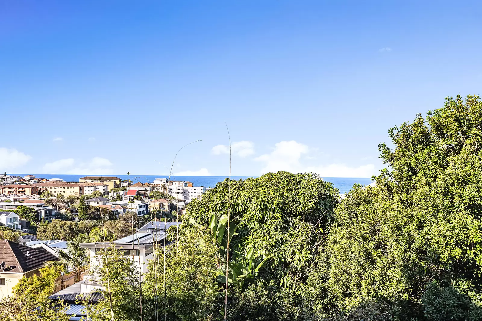 6/109 Arden Street, Coogee Sold by Sydney Sotheby's International Realty - image 5