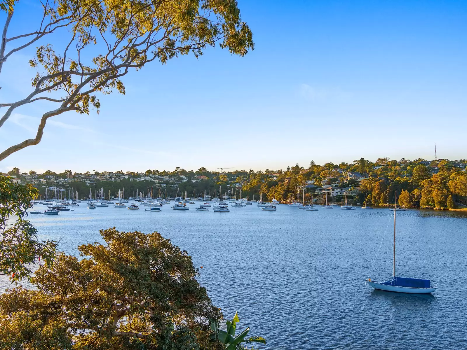 7 Werambie Street, Woolwich For Sale by Sydney Sotheby's International Realty - image 14