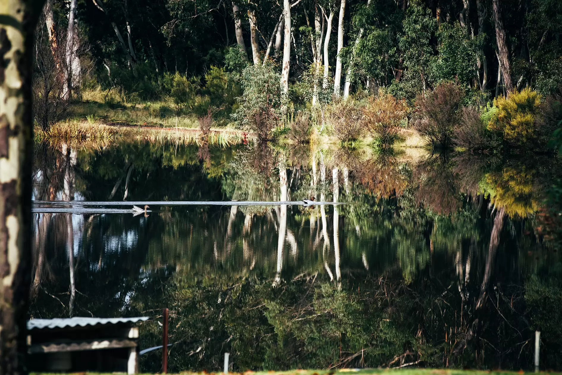 58 Birchalls Lane, Berrima For Sale by Sydney Sotheby's International Realty - image 18