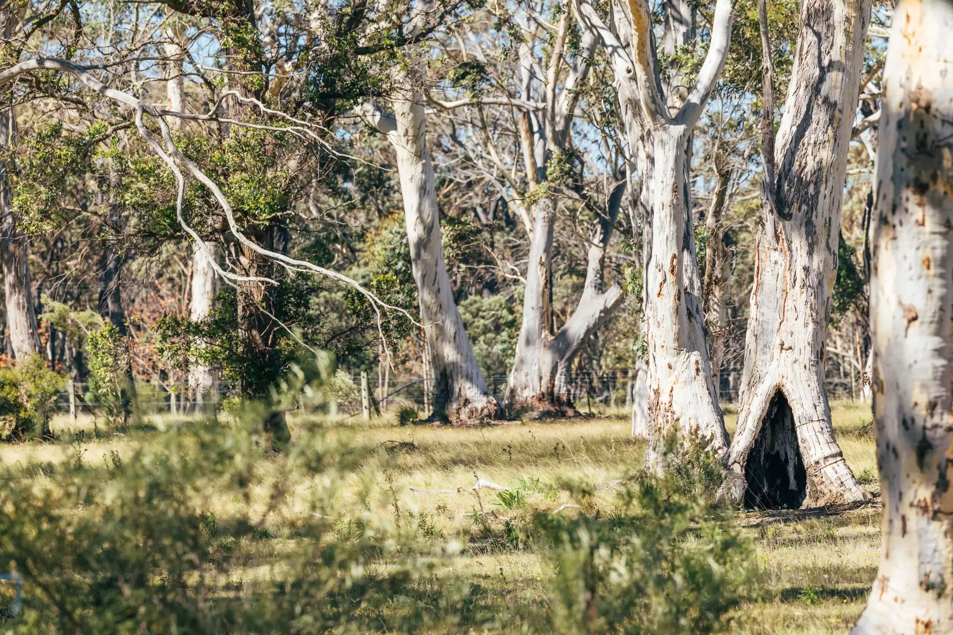 58 Birchalls Lane, Berrima For Sale by Sydney Sotheby's International Realty - image 28