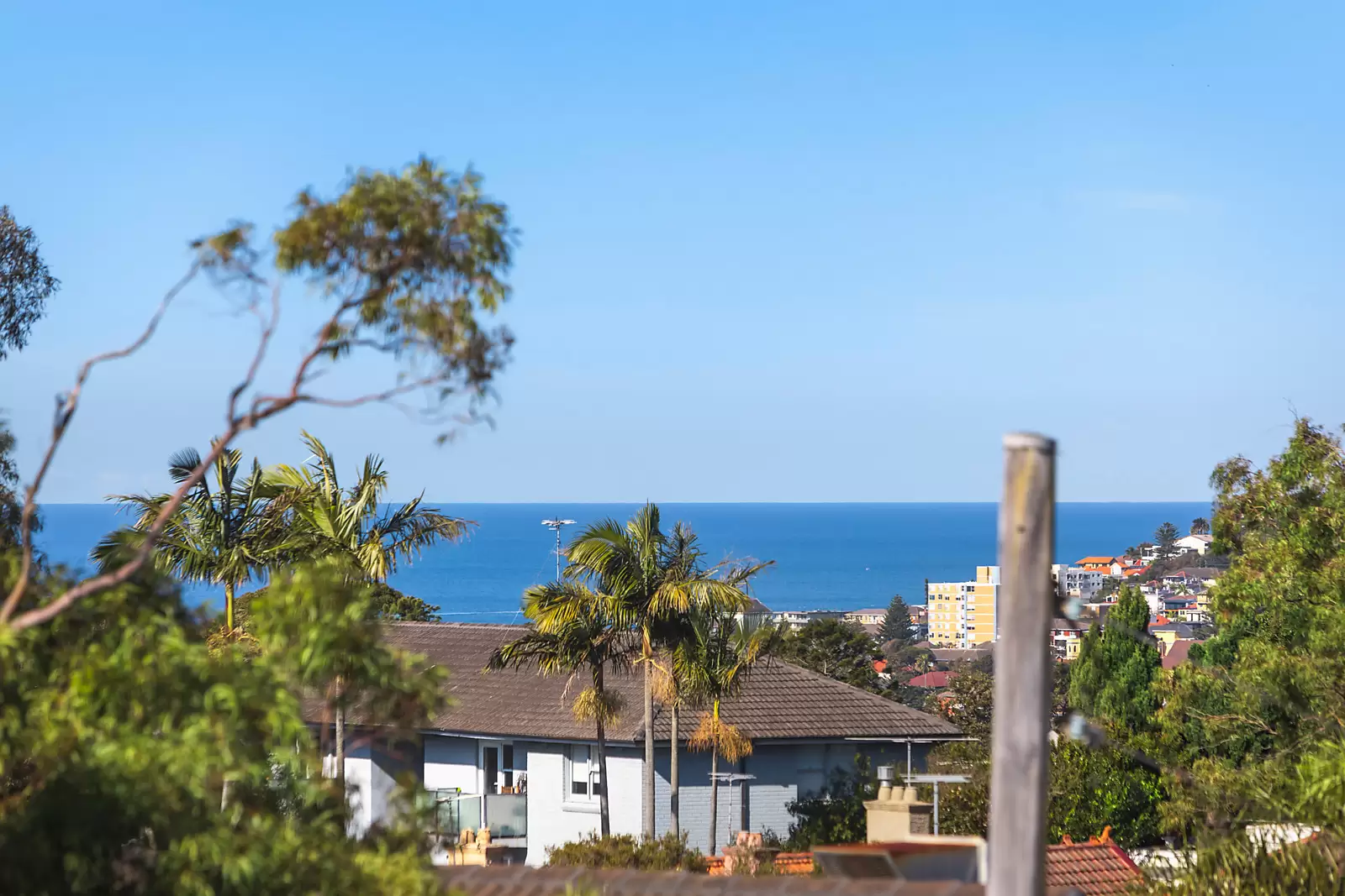 21 Frenchmans Road, Randwick Sold by Sydney Sotheby's International Realty - image 4