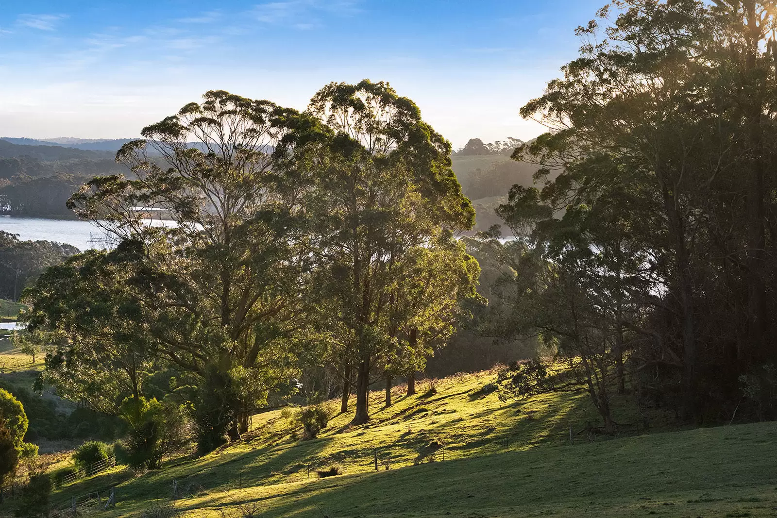 421 Myra Vale Road, Wildes Meadow For Sale by Sydney Sotheby's International Realty - image 17