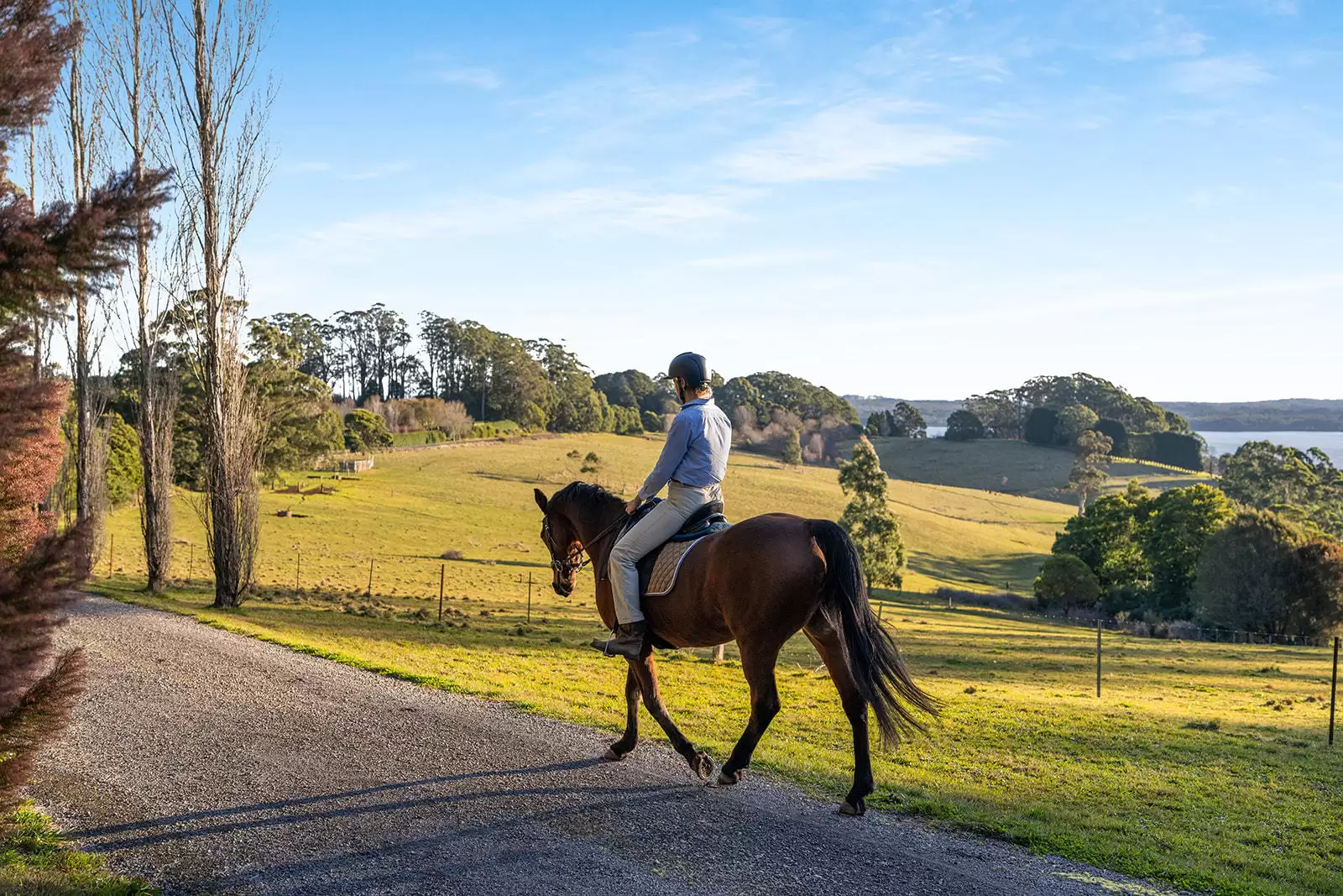 421 Myra Vale Road, Wildes Meadow For Sale by Sydney Sotheby's International Realty - image 13