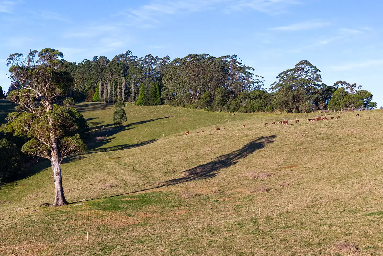 421 Myra Vale Road, Wildes Meadow For Sale by Sydney Sotheby's International Realty - image 27