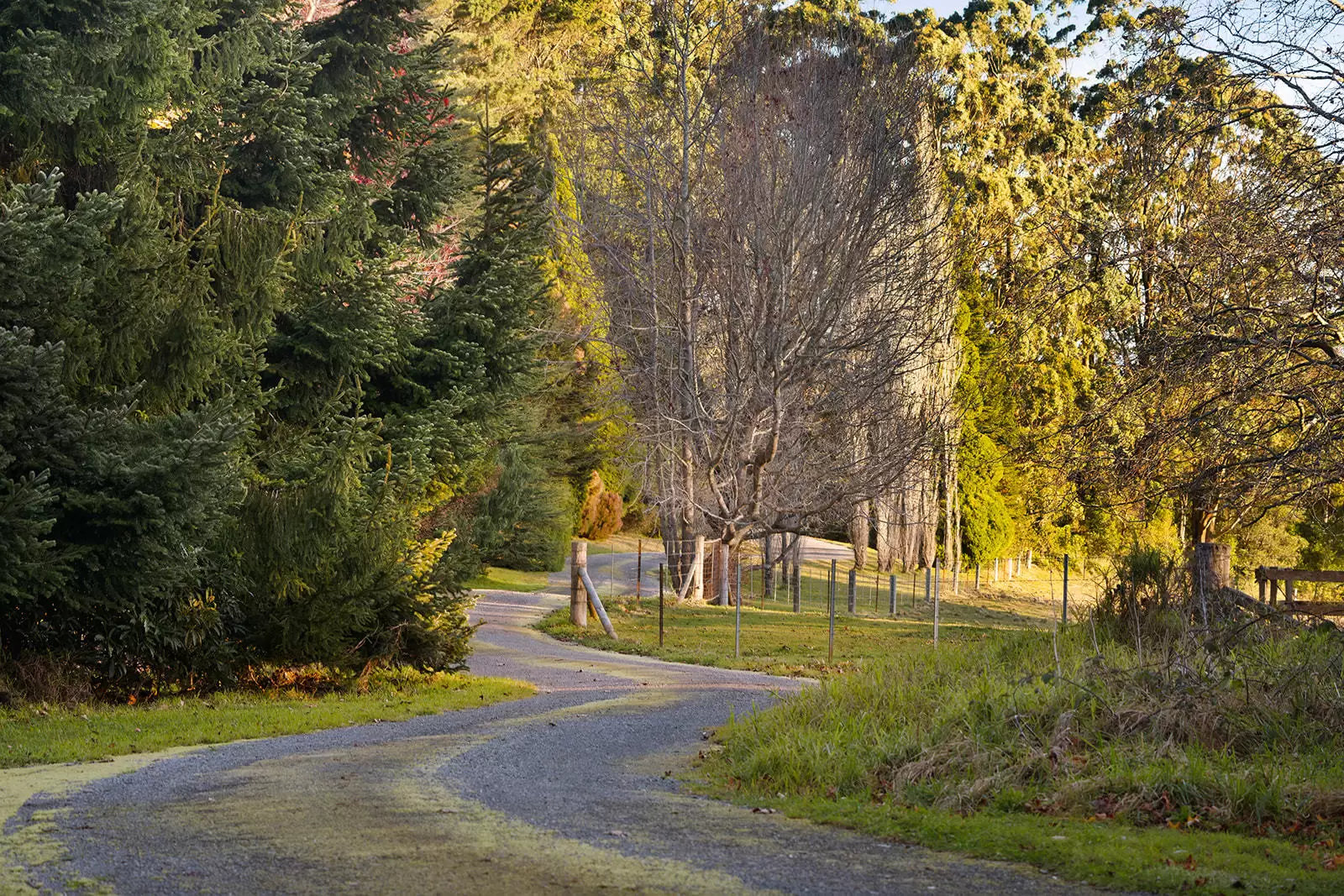 421 Myra Vale Road, Wildes Meadow For Sale by Sydney Sotheby's International Realty - image 14