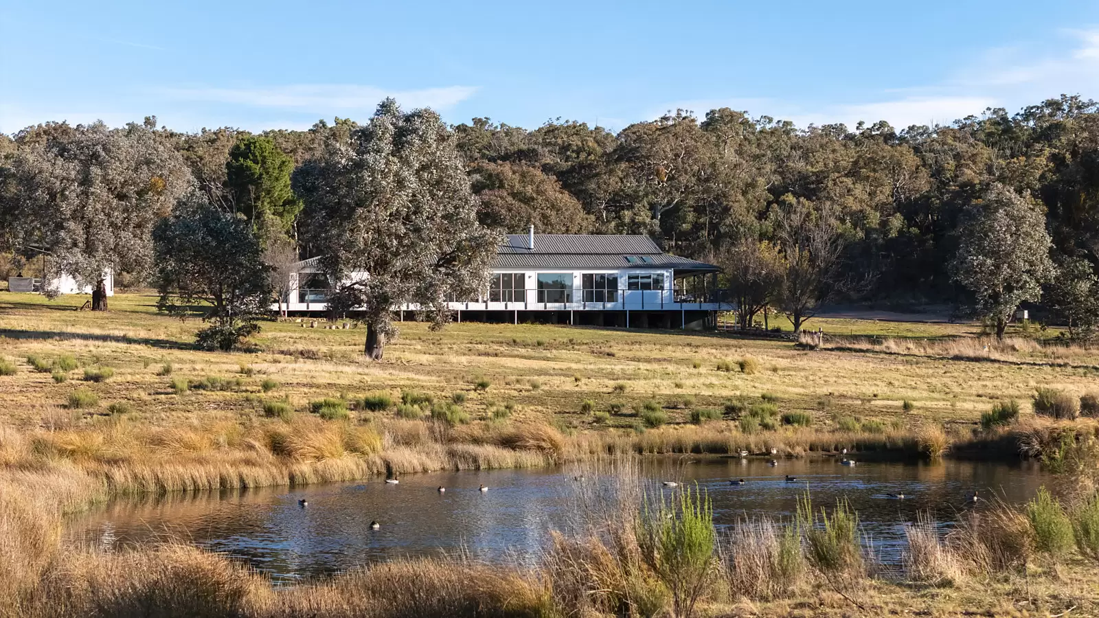 840 Marked Tree Road, Gundaroo For Sale by Sydney Sotheby's International Realty - image 6