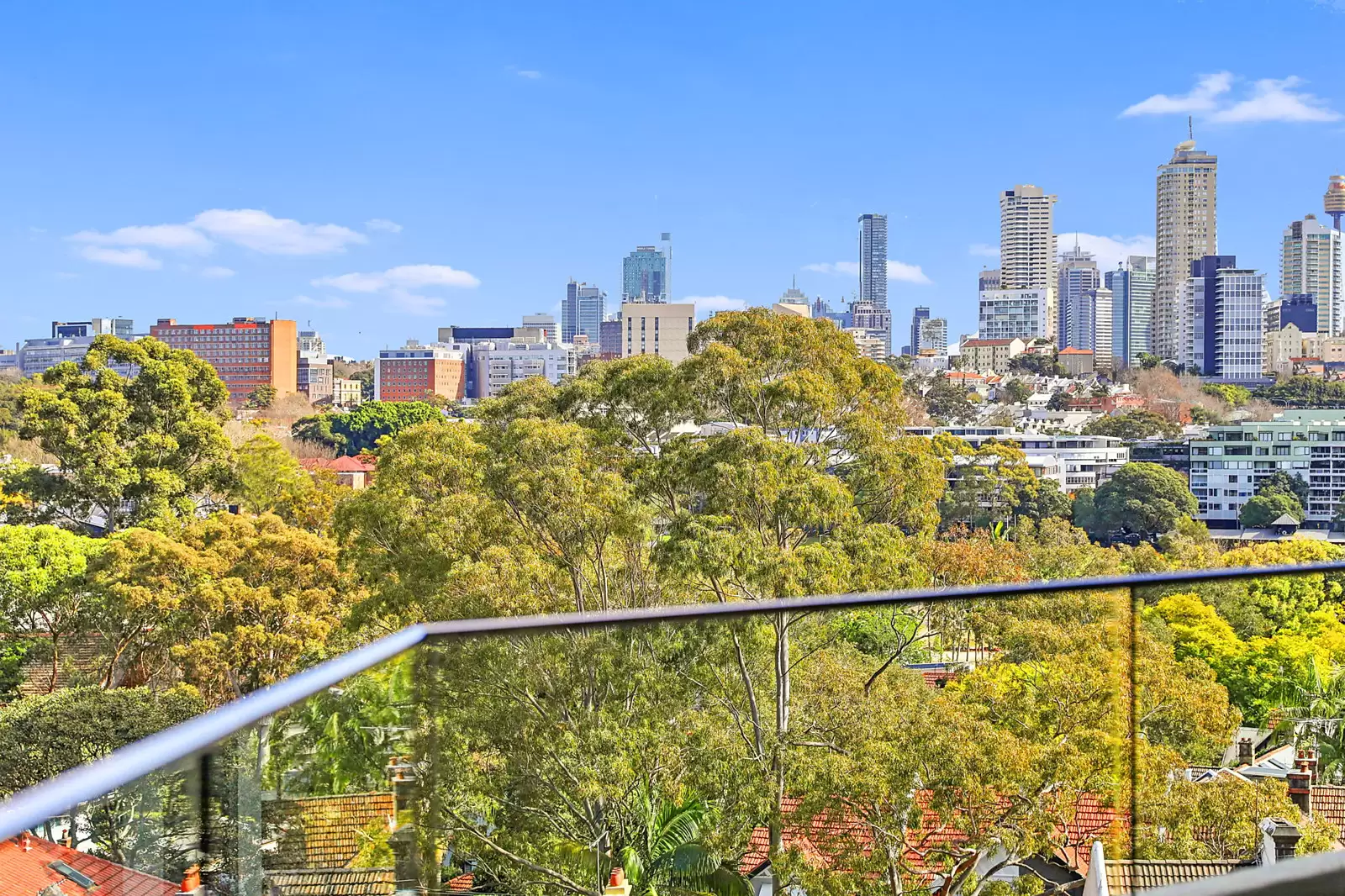 31/4 New Mclean Street, Edgecliff Sold by Sydney Sotheby's International Realty - image 3