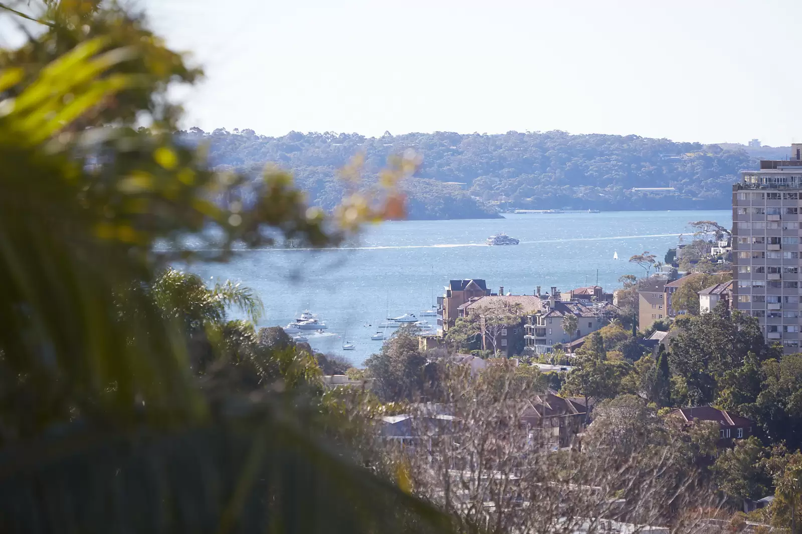 3/313 Edgecliff Road, Woollahra Sold by Sydney Sotheby's International Realty - image 5