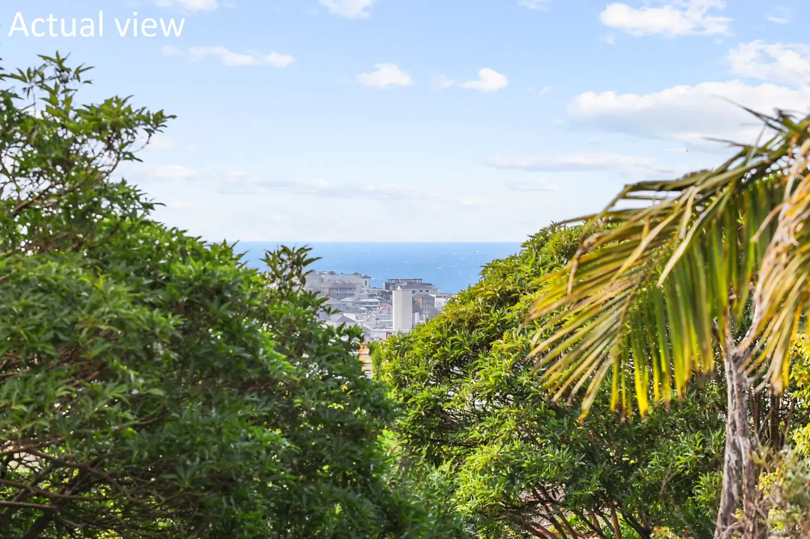 12/2 Penkivil Street, Bondi Sold by Sydney Sotheby's International Realty - image 5