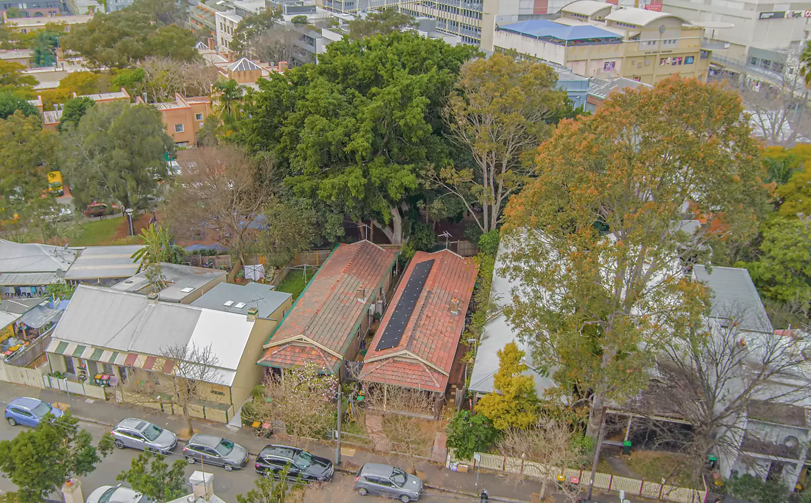 74 Cowper Street, Glebe Sold by Sydney Sotheby's International Realty - image 13