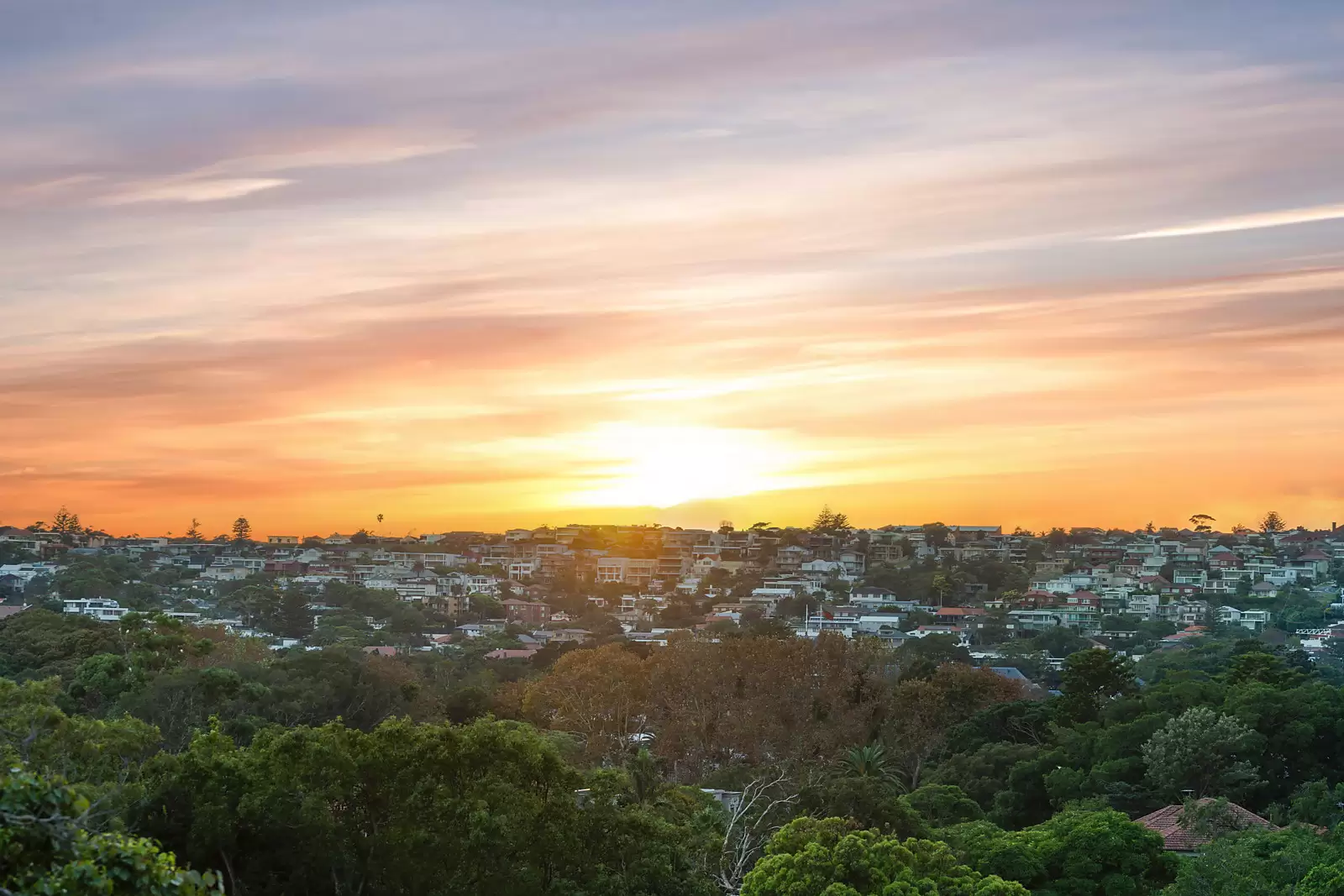 22 Cranbrook Road, Bellevue Hill Sold by Sydney Sotheby's International Realty - image 5