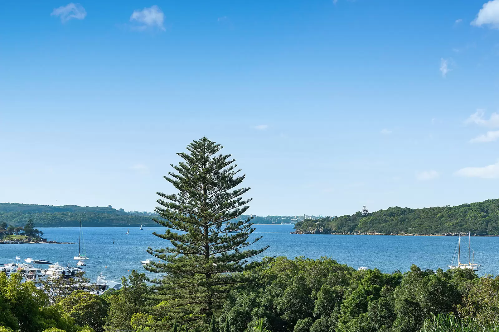 22 Cranbrook Road, Bellevue Hill Sold by Sydney Sotheby's International Realty - image 3