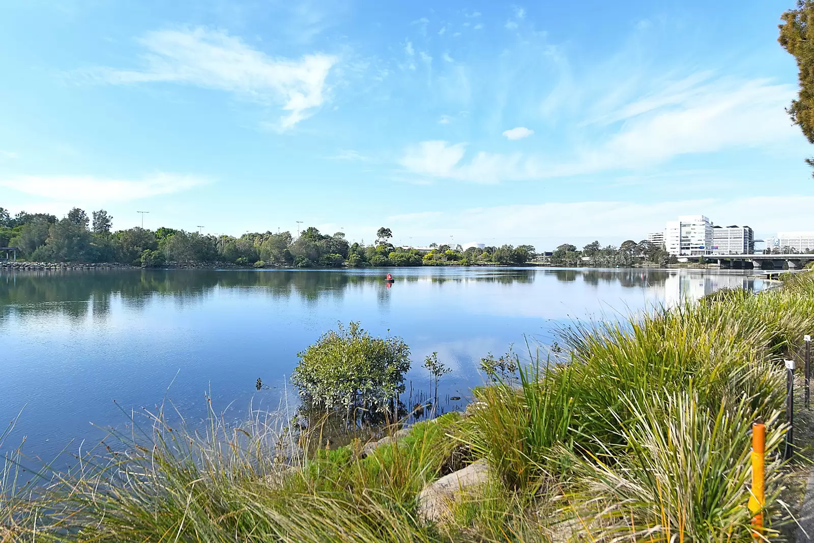 701/24 Levey Street, Wolli Creek Sold by Sydney Sotheby's International Realty - image 9