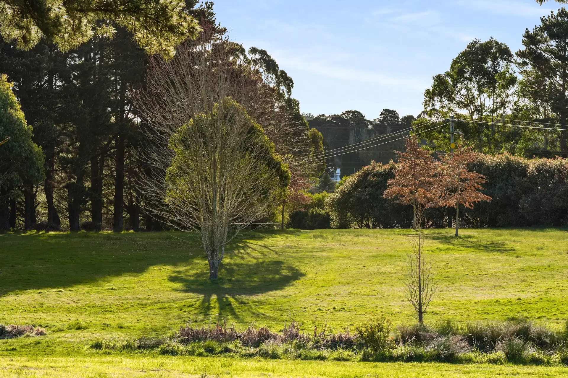 280 Kangaloon Road, Bowral For Sale by Sydney Sotheby's International Realty - image 8