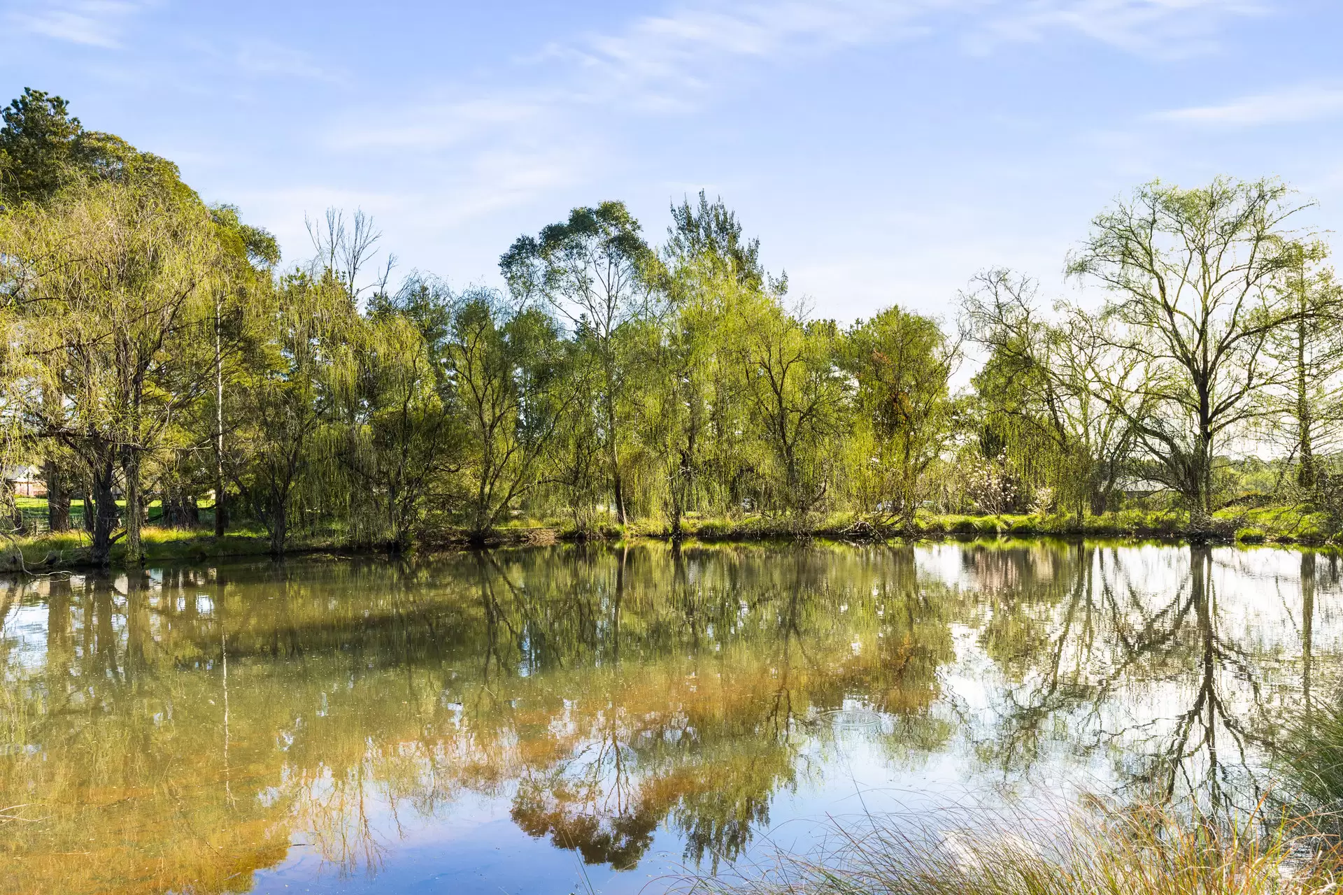 280 Kangaloon Road, Bowral For Sale by Sydney Sotheby's International Realty - image 7