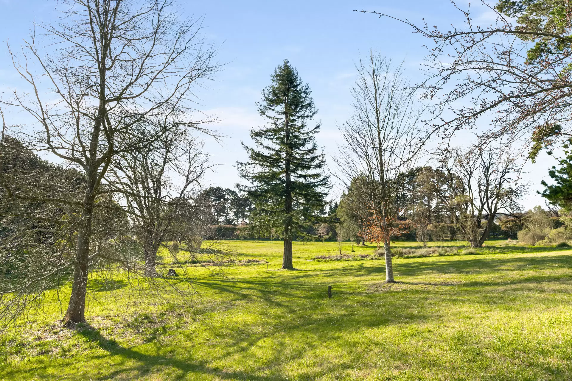 280 Kangaloon Road, Bowral For Sale by Sydney Sotheby's International Realty - image 6