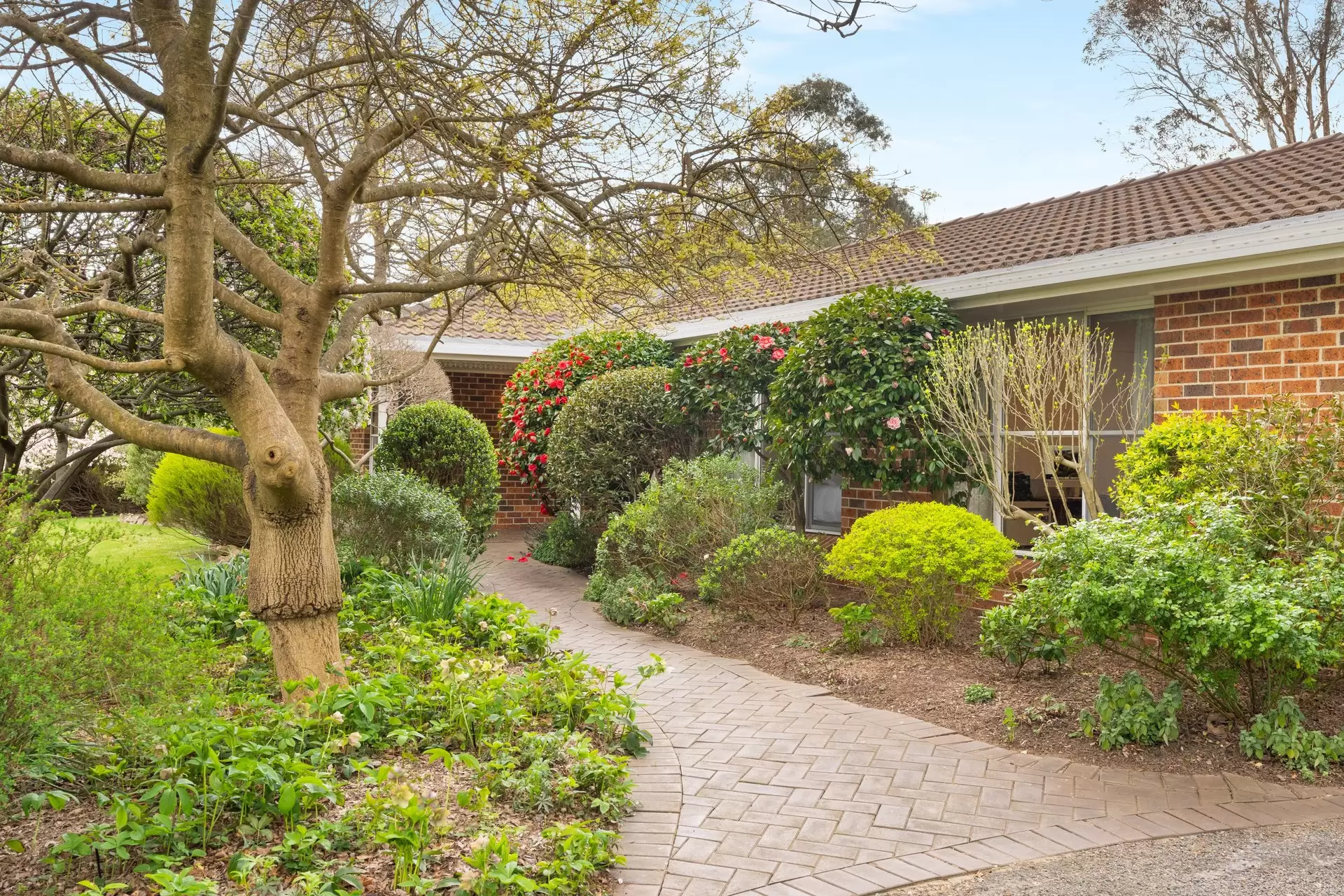 13 Nerang Street, Burradoo For Sale by Sydney Sotheby's International Realty - image 14