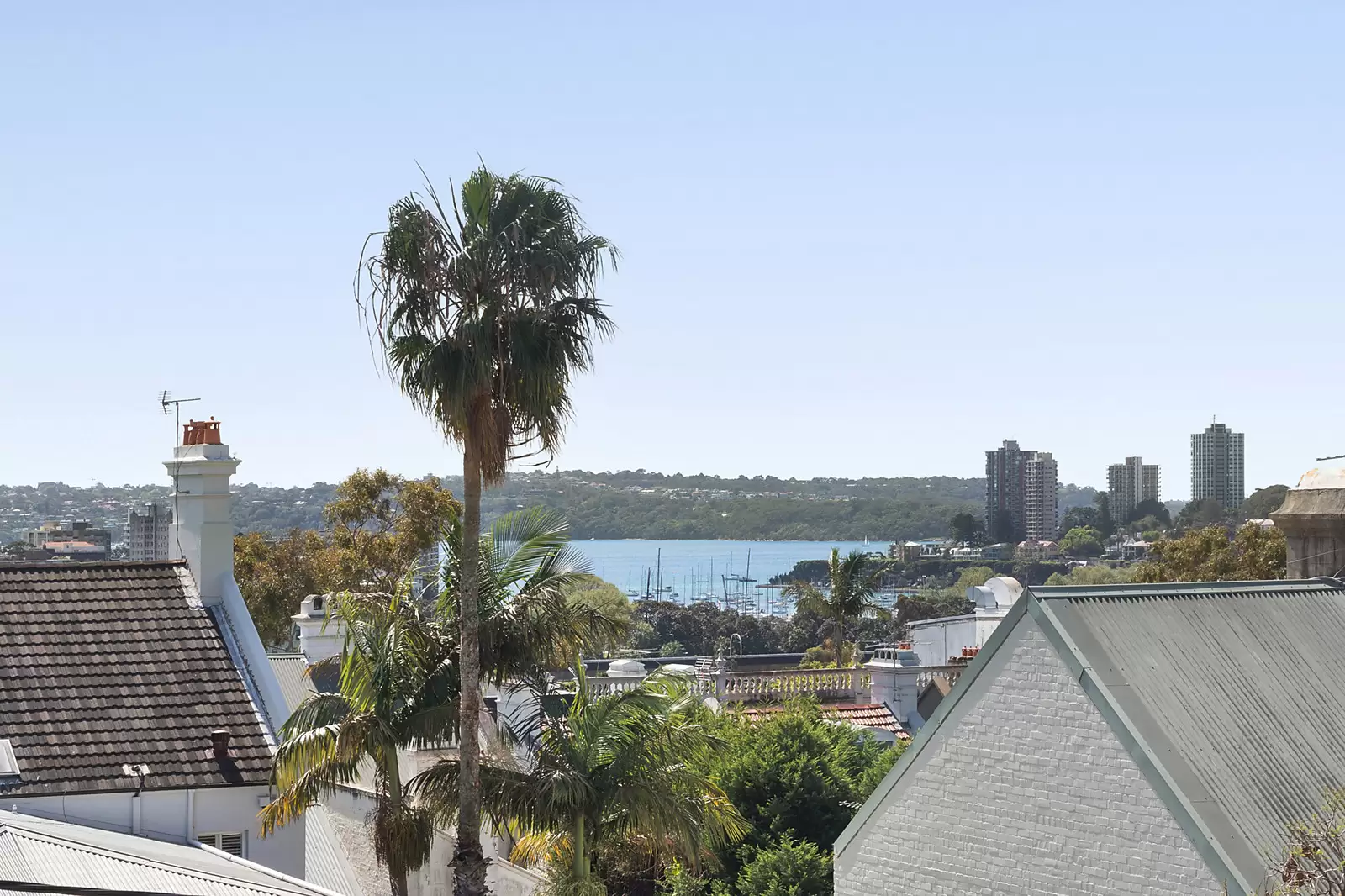 61 Ormond Street, Paddington Auction by Sydney Sotheby's International Realty - image 10