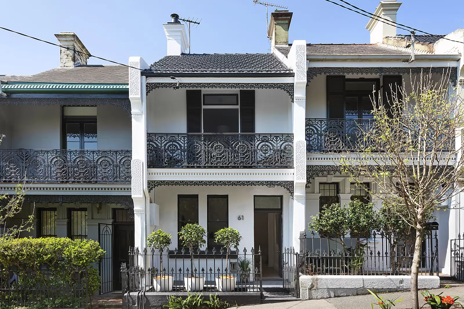 61 Ormond Street, Paddington Auction by Sydney Sotheby's International Realty - image 1