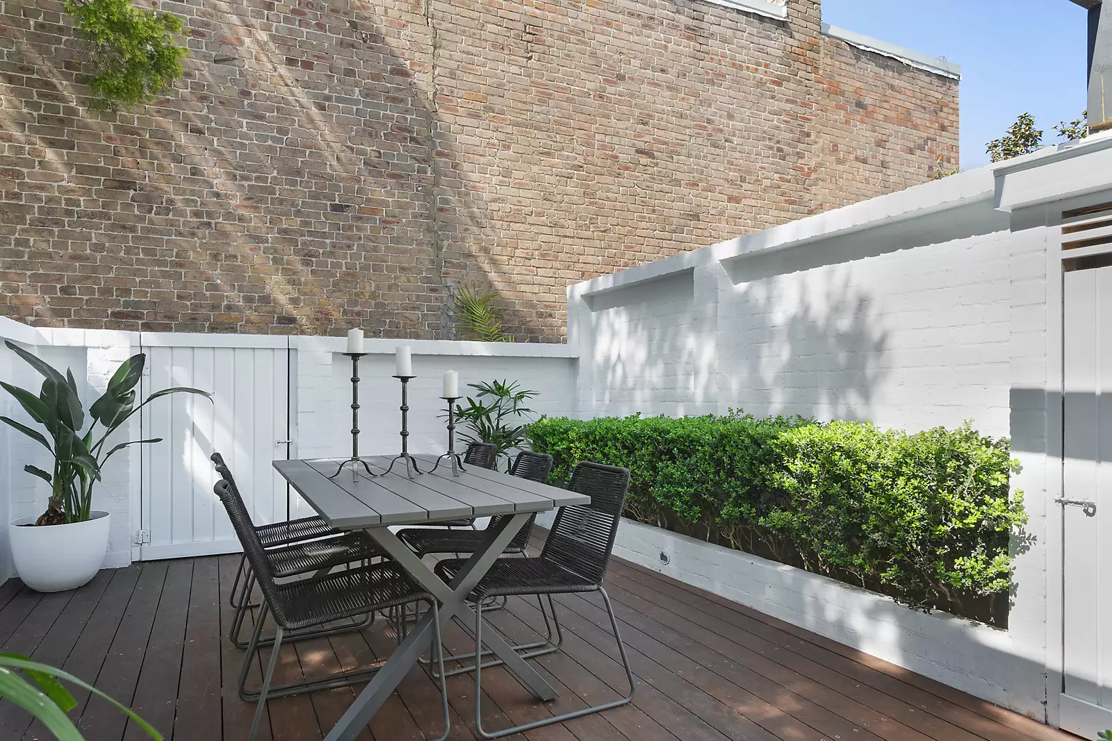 61 Ormond Street, Paddington Auction by Sydney Sotheby's International Realty - image 7