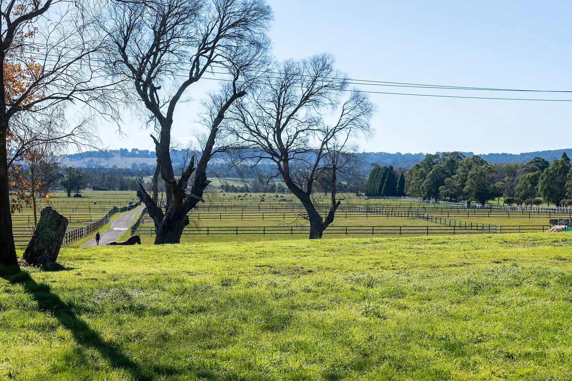 Moss Vale For Sale by Sydney Sotheby's International Realty - image 20