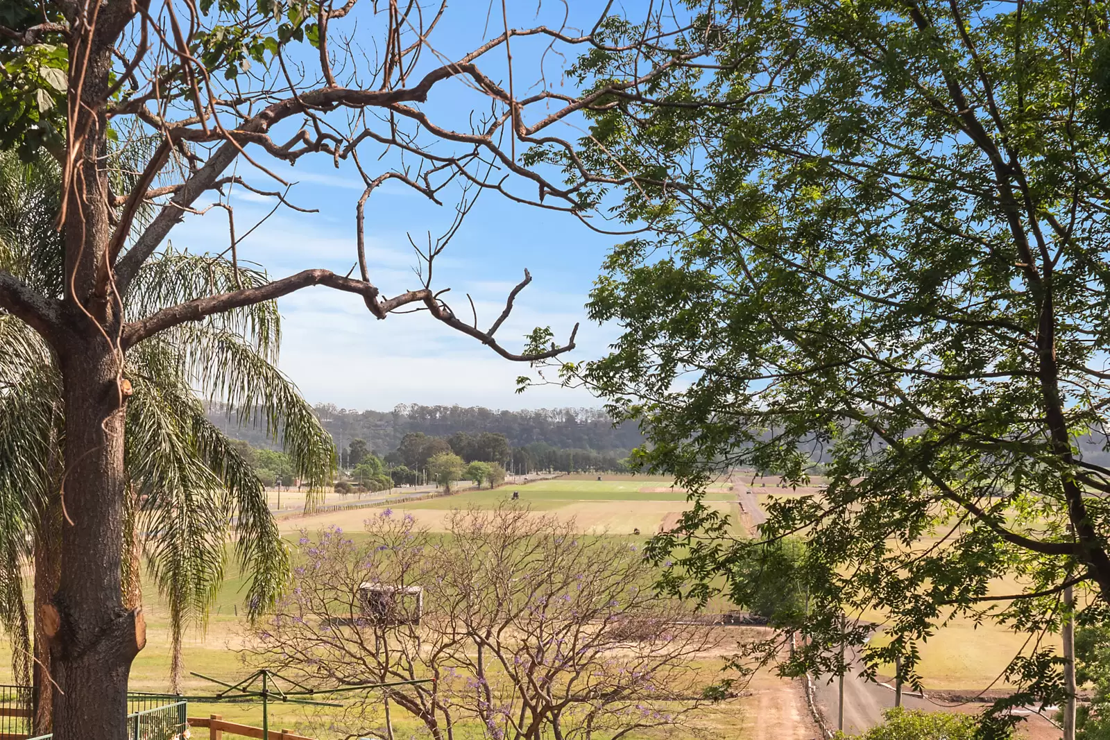 61 Francis Street, Richmond For Sale by Sydney Sotheby's International Realty - image 15