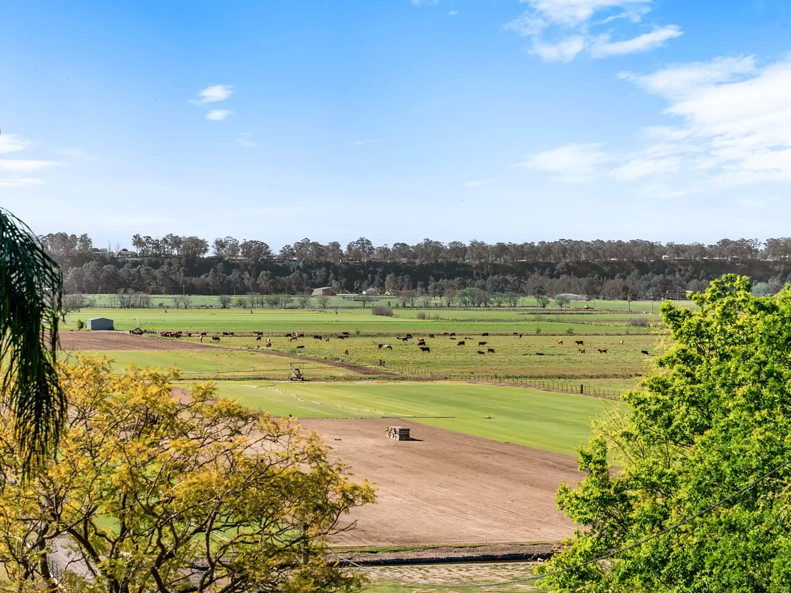 61 Francis Street, Richmond For Sale by Sydney Sotheby's International Realty - image 16